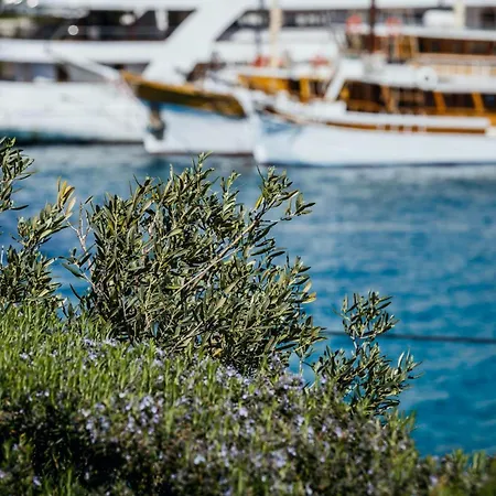 Gasthof Goreta In - Mittel-dalmatien Ražanj