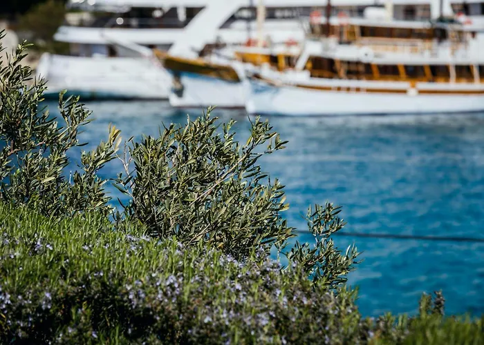 Guest house Goreta In - Mittel-dalmatien Razanj